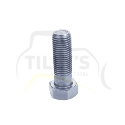 BOLT - HEX M22 x 2.5 x 65mm