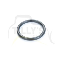 SEAL - O RING