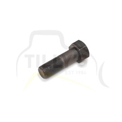 BOLT - TRACK M20 X 60MM