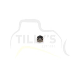 SEAL - VALVE STEM