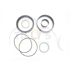 KIT - SEAL CYL HYD 966C