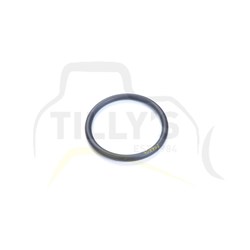 SEAL - O RING