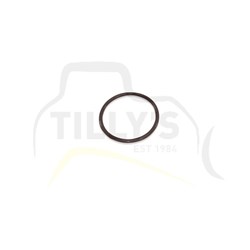 SEAL - O RING
