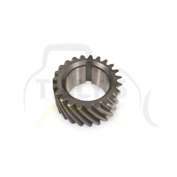 GEAR - CRANK 3066