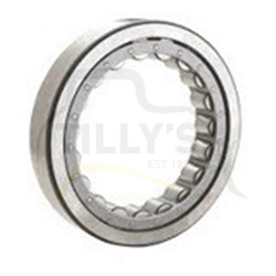 BEARING - RACE & ROLLER ASSY