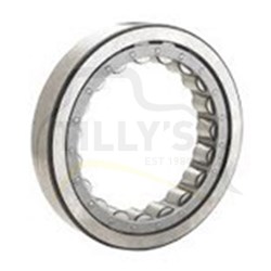 BEARING - RACE & ROLLER OUTER