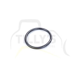 SEAL - O RING