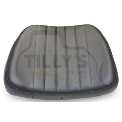 CUSHION ASSY - SEAT BACKREST