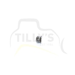 BUTTON - VALVE STEM