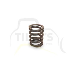 SPRING - VALVE OUTER 3204 3208