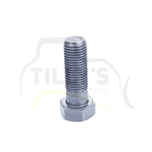 BOLT - HEX M22 x 2.5 x 65mm