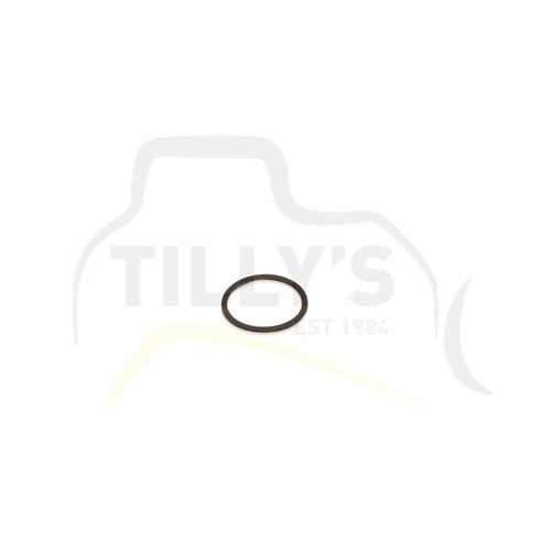 SEAL - O RING