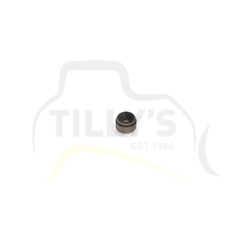 SEAL - VALVE STEM