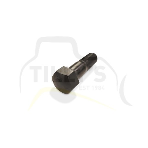 BOLT - TRACK M22 X 75MM