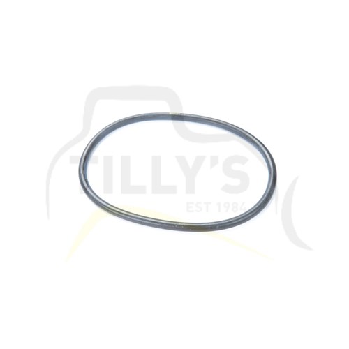 SEAL - O RING