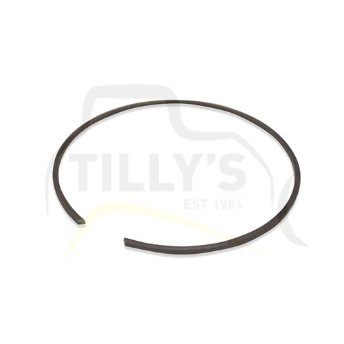 RING - RETAINER INTERNAL 977L