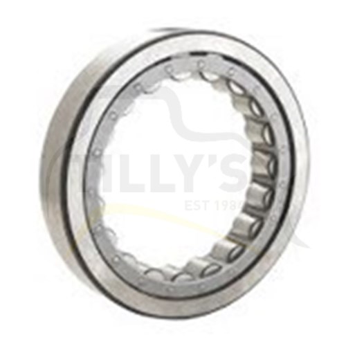 BEARING - RACE & ROLLER OUTER