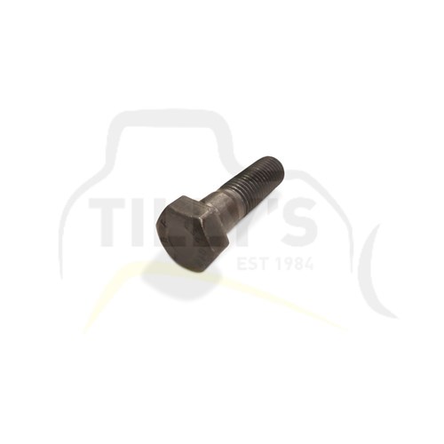 BOLT - HEX HEAD  M20 X 70MM