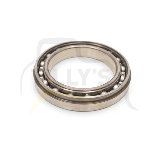 BEARING - PLANETARY GRP D6H